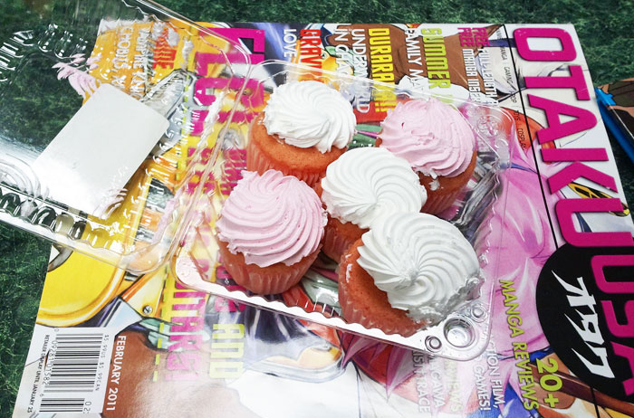 Pink and White Cupcakes